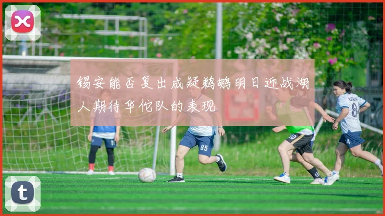 锡安能否复出成疑鹈鹕明日迎战湖人期待华佗队的表现