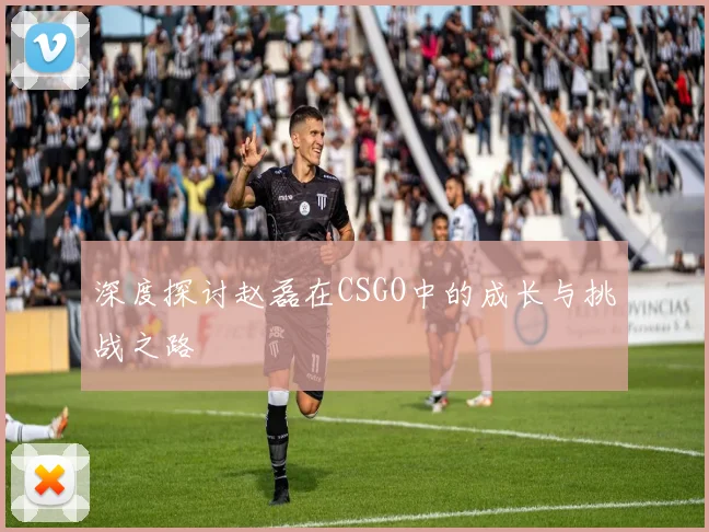 深度探讨赵磊在CSGO中的成长与挑战之路