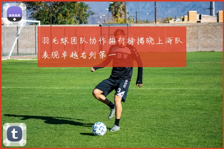 羽毛球团队协作排行榜揭晓上海队表现卓越名列第一